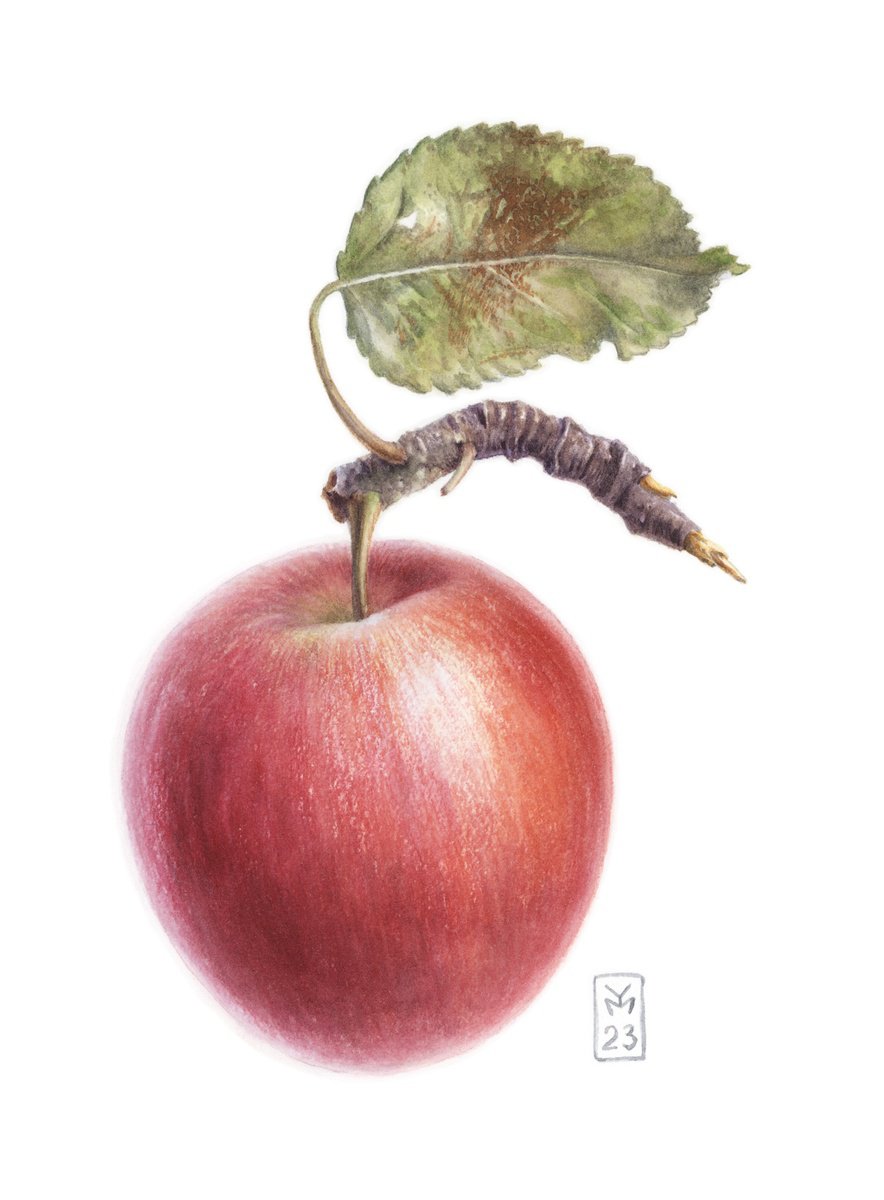 Red Apple by Yuliia Moiseieva