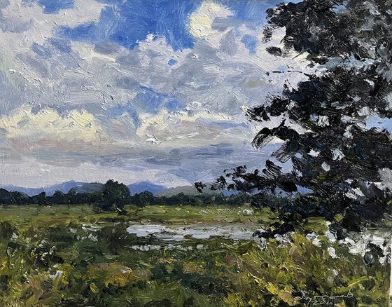 Freedom of Rain Clouds