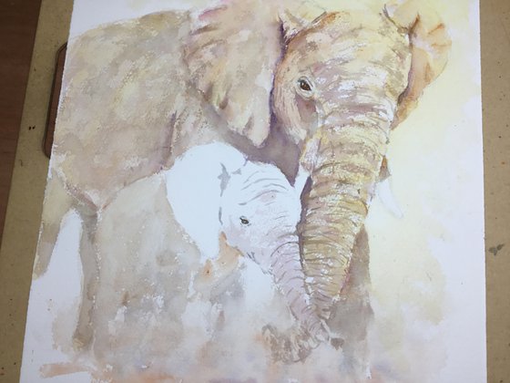 Elephants walking in the dust