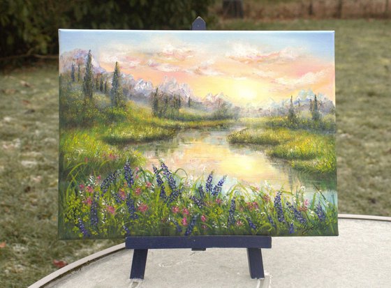 Sunset at the bluebonnet field