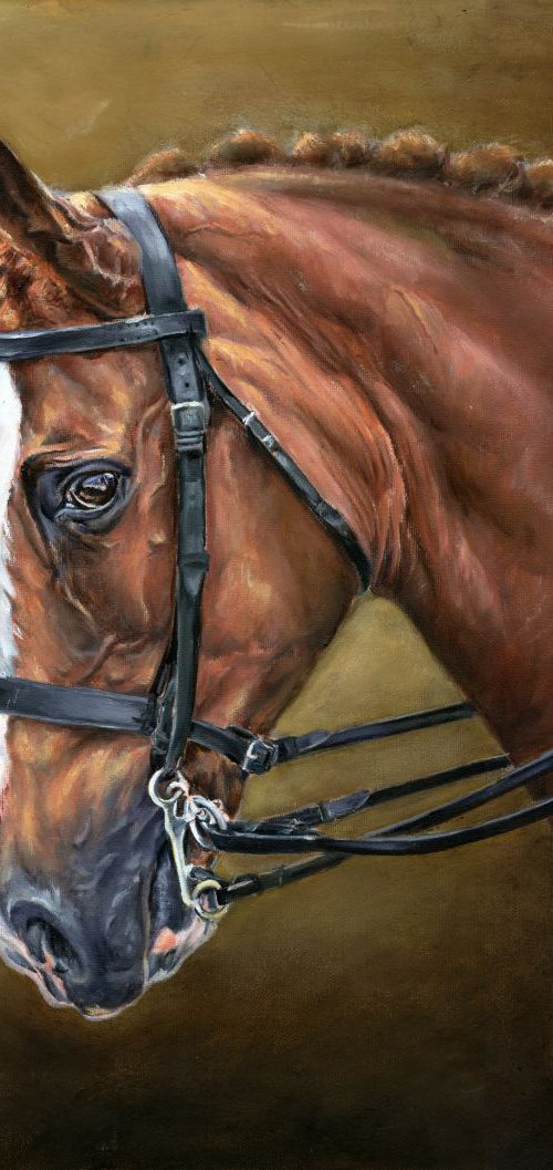 Horse portrait oil painting by Una Hurst