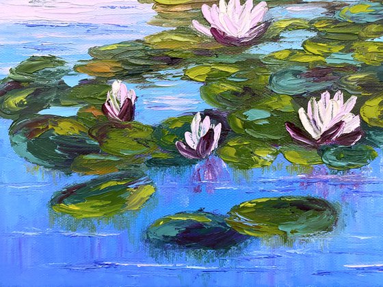 Water lilies beauty