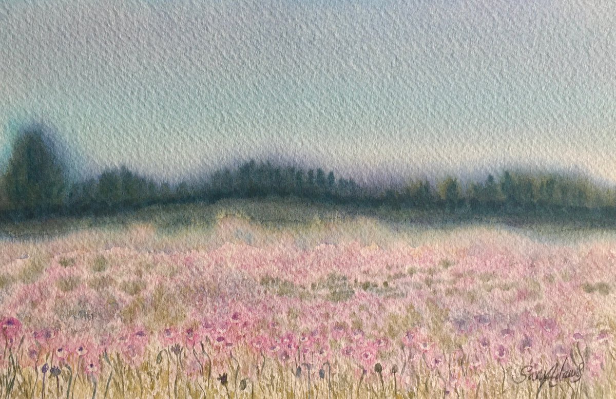 Poppy fields at Morden, Charborough park, Dorset by Samantha Adams professional watercolorist