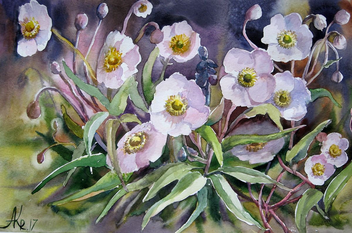 Impressionistic Botanical Watercolour By Ann Krasikova, 17 X 11, White Anemone Flowers, Original Artwork
