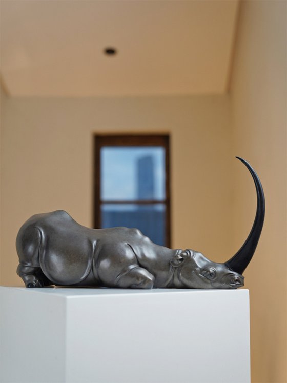 The story of the rhinoceros