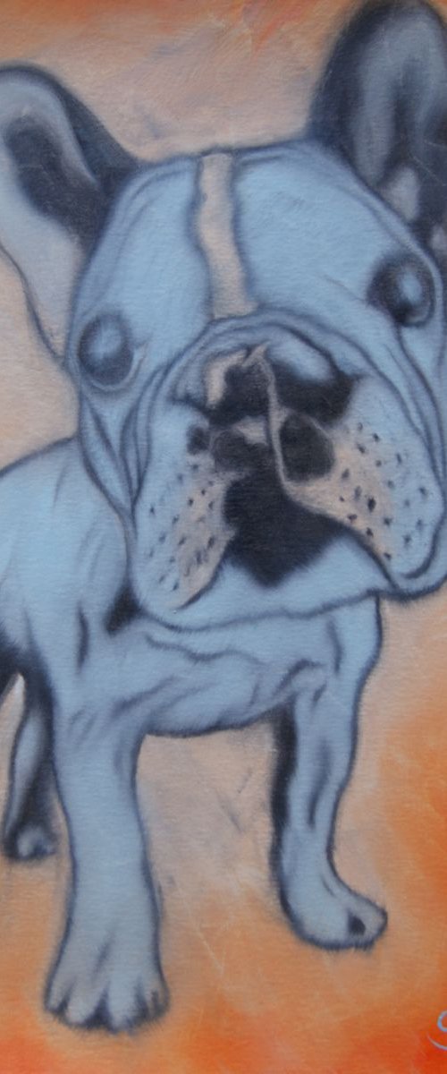 Sky Blue Pooch ( oil on paper ) Free Shipping by Steven Shaw