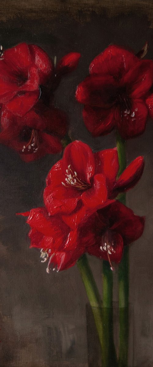 “Amaryllis in Red” by Davit Davtyan