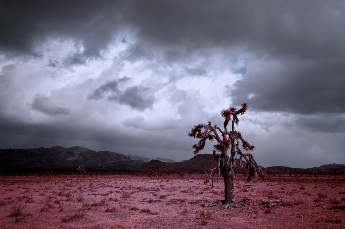 Winter Storm in the Mojave by Mark Hannah