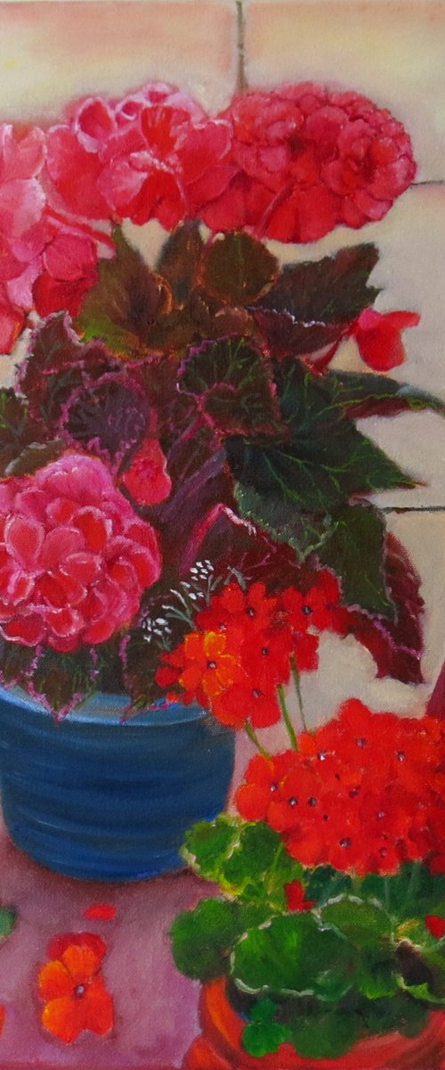 Begonias and Geraniums on my Patio by Maureen Greenwood