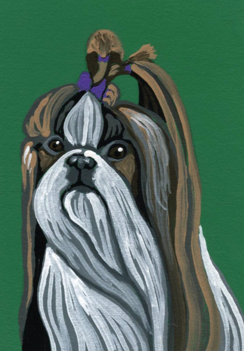ACEO ATC Original Miniature Painting Shih Tzu Pet Dog Art-Carla Smale by carla smale