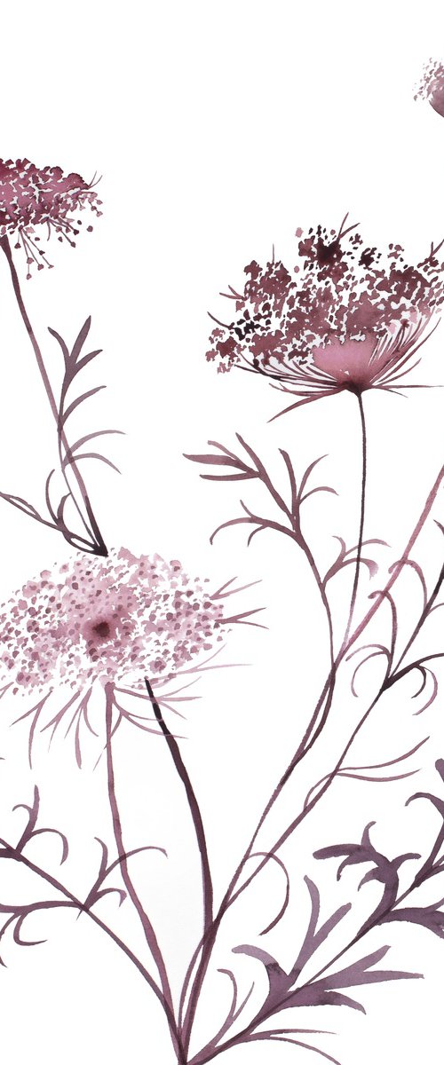 Queen Anne's Lace No. 20 by Elizabeth Becker