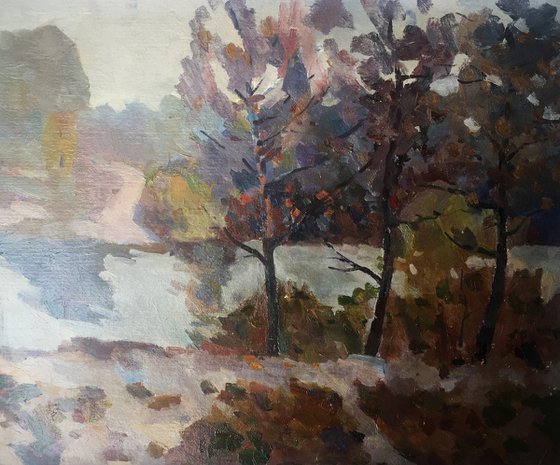 Stream in the forest