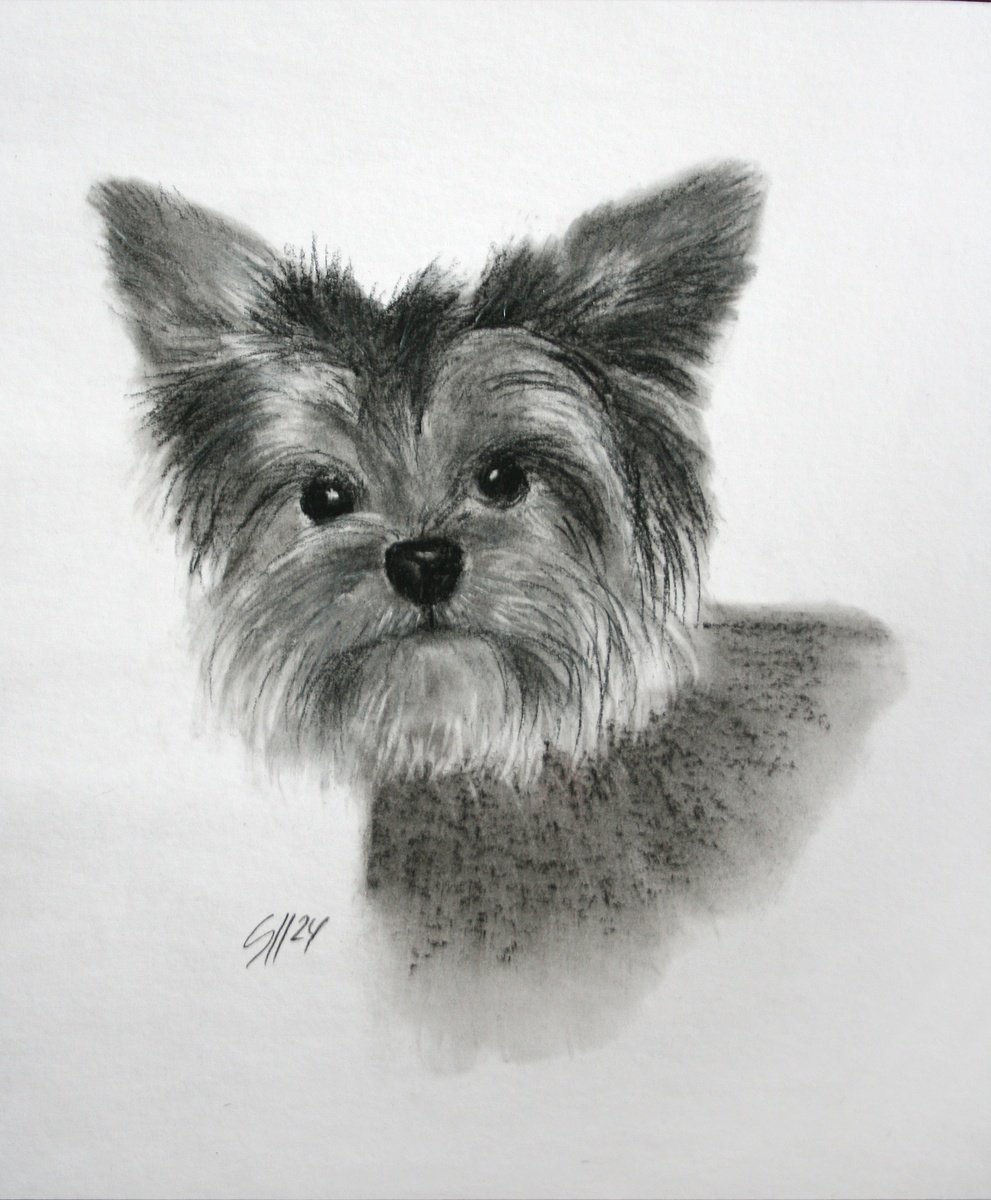 Impressionistic Animal Charcoal Drawing By Salana Art / Svetlana Samovarova, 7 X 9", Dog 1.11, Original Artwork