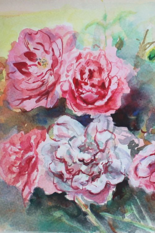 Garden Roses by Gerry Miller