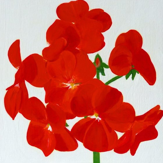 Red Geranium