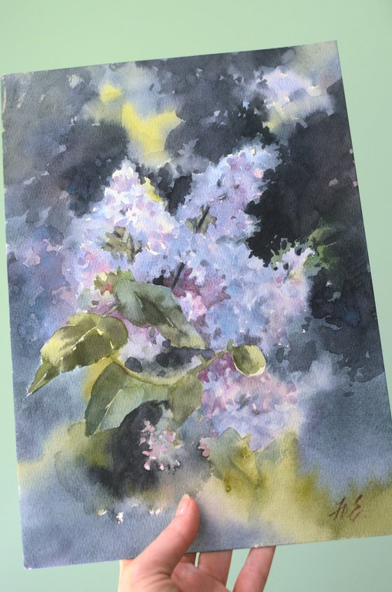May lilac