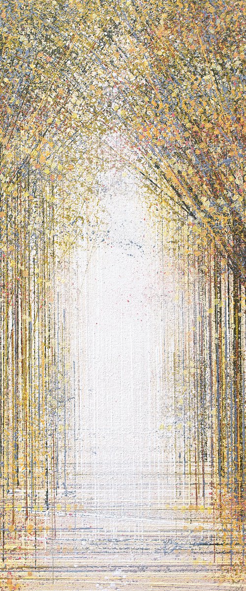 Forest Path In Warm Evening Light by Marc Todd