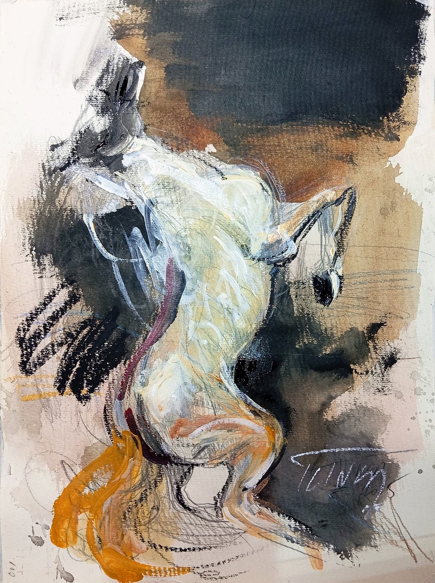 Expressive Animal Watercolour By Catalin Ilinca, 13 X 17, Jumping Stallion (Study), Original Artwork