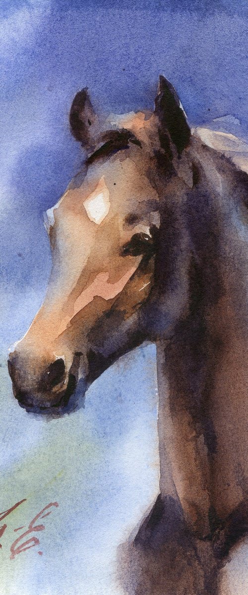 Small portrait of a brown horse in watercolor by Yulia Evsyukova