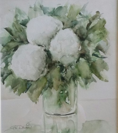 White flowers hydrangeas by Els Driesen