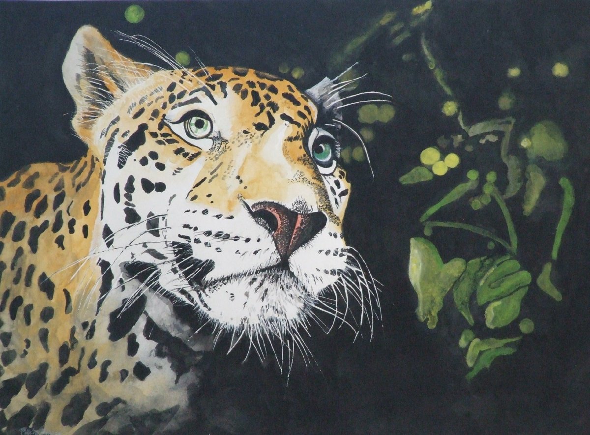 Tanzanain Leopard by Philip Baker