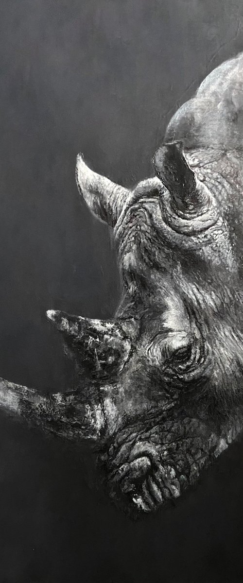 Rhinoceros from the shadows by Paul Hardern