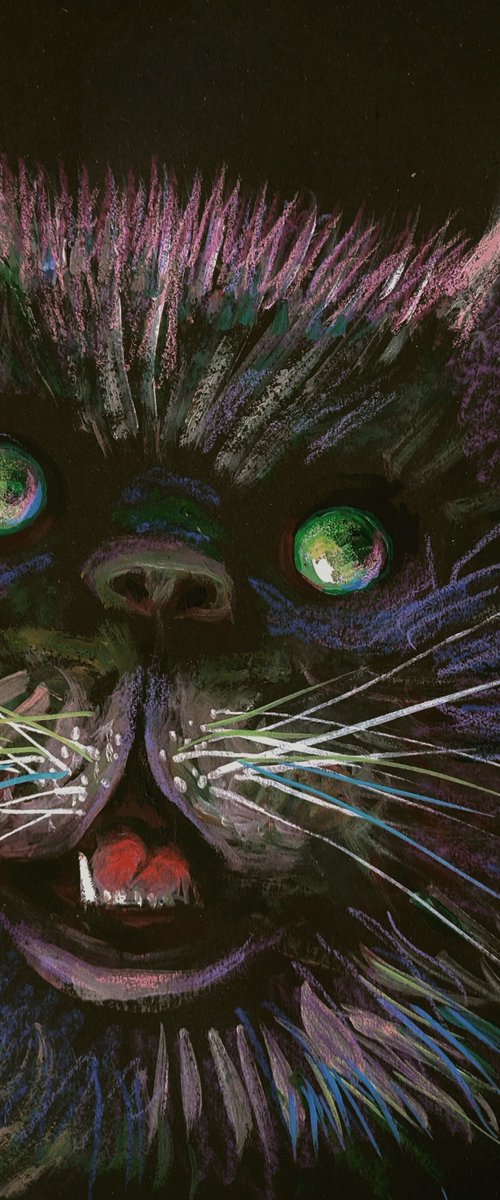 KATZ by Elisheva Nesis