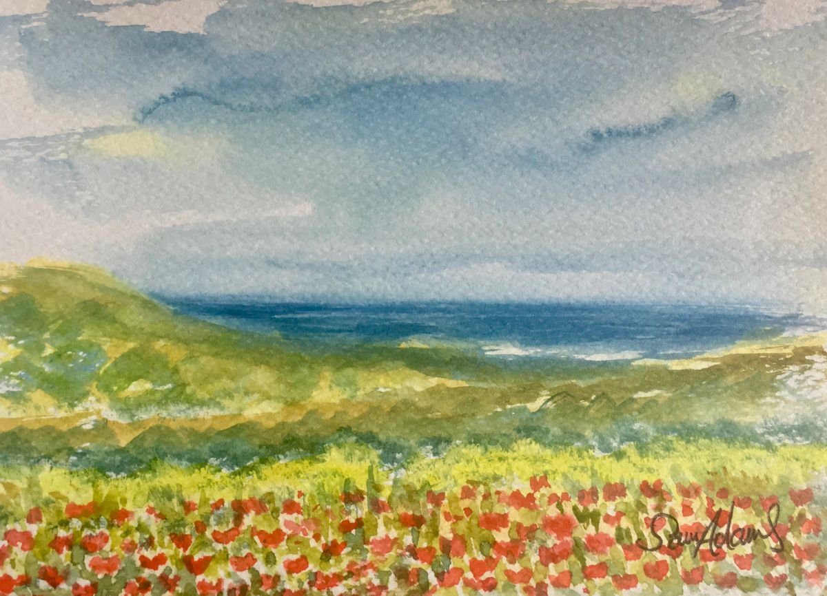 Poppies at Crantock by Samantha Adams professional watercolorist