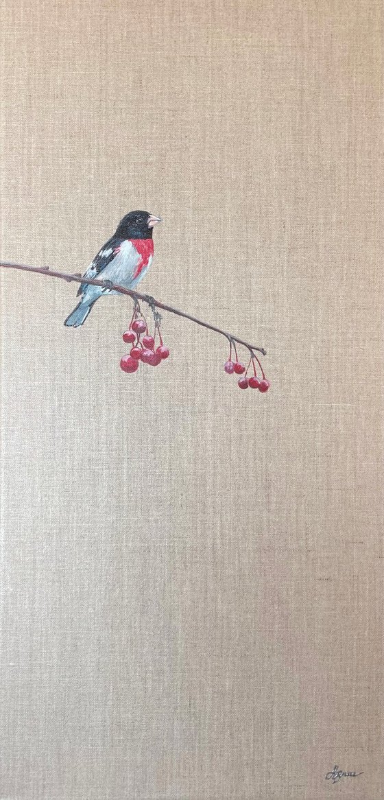Rose Breasted Grosbeak on Linen