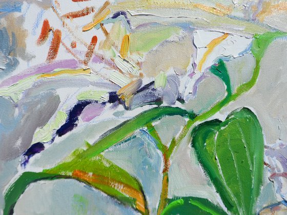 " Lily"