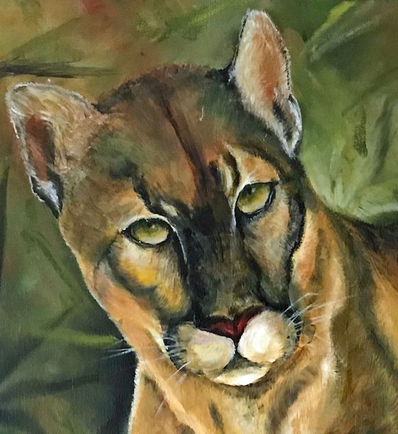 Puma Original Oil  Painting on a canvas Fully Framed 16x 20