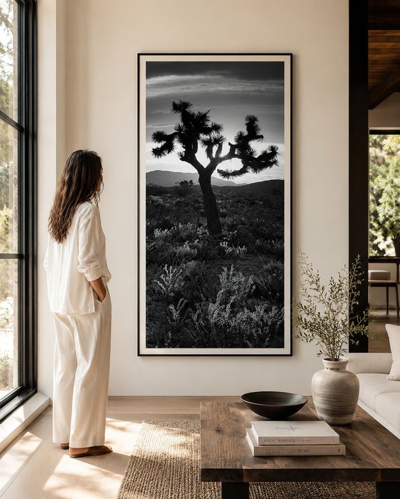 Joshua Tree