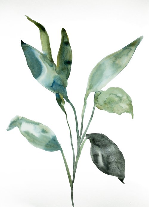 Plant Study No. 97 by Elizabeth Becker