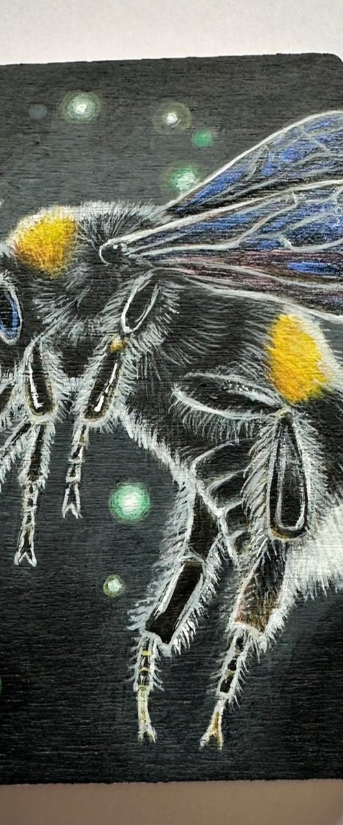 Female WhiteTailed Bumblebee 4 by Louise McNaught