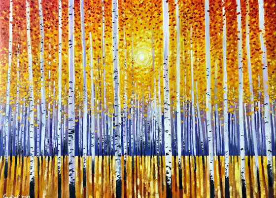 Sunset in aspens forest