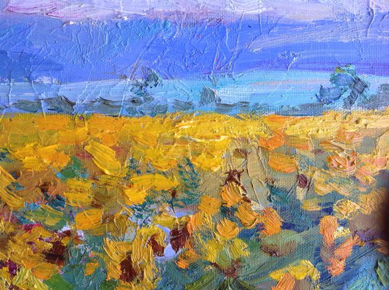 Evening sunflower field .  original oil painting modern