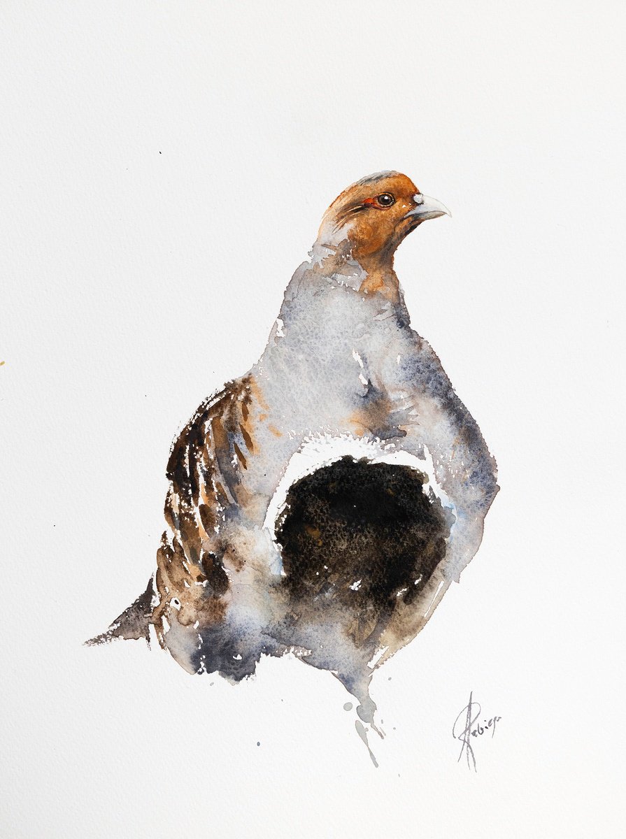 Watercolour , Partridge By Andrzej Rabiega, 12 X 16, Artwork For Sale On Artfinder