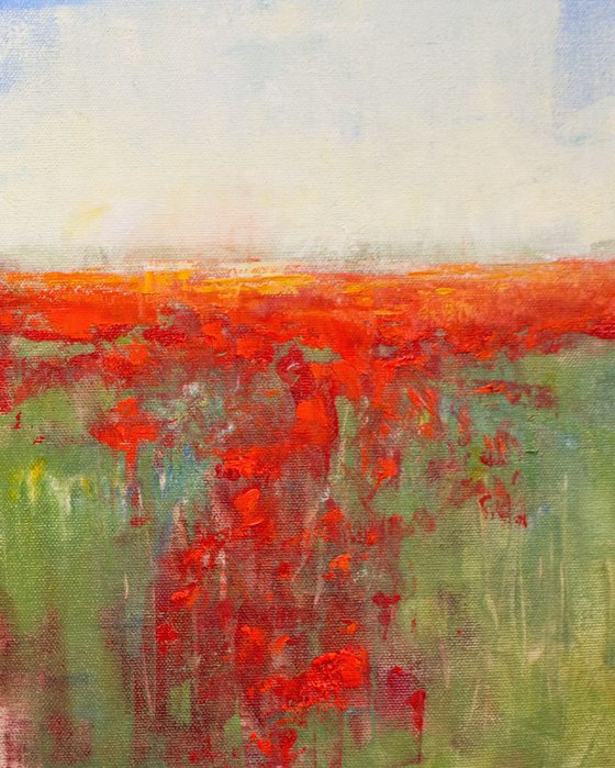 Red Poppies 5