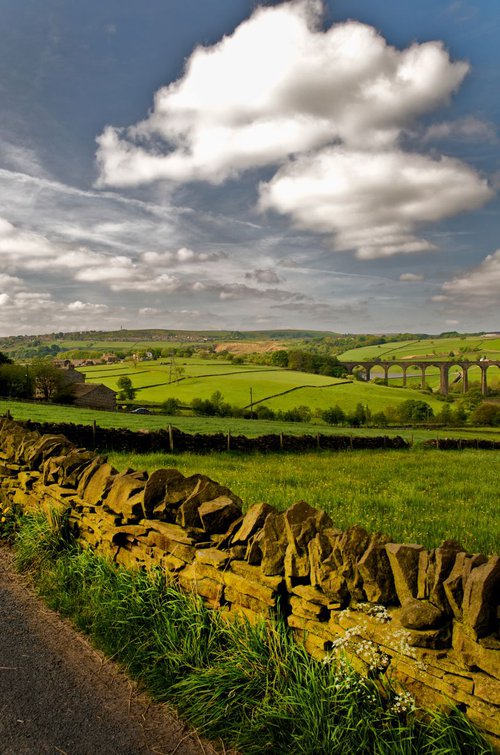 Yorkshire by Ron Colbroth