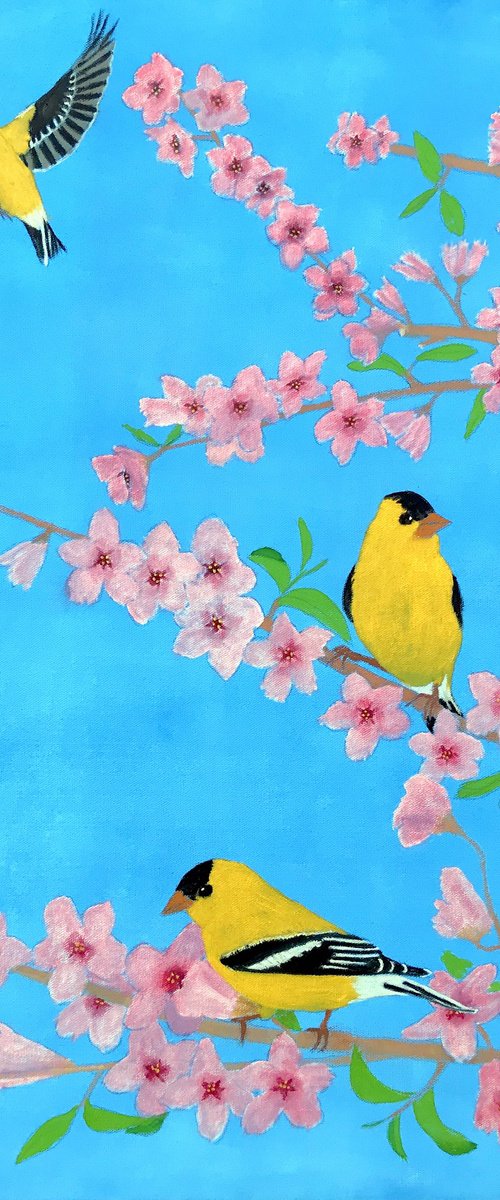 AMERICAN GOLDFINCH by Leslie Dannenberg