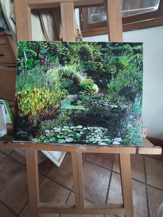 Pond and végétation