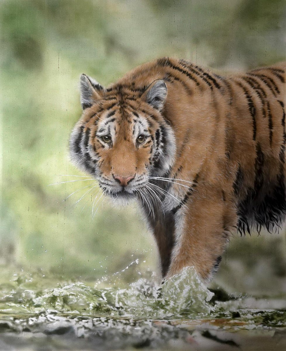 Photorealistic Animal Painting By Olga Belova, 20 X 26", Silent Strength, Original Artwork