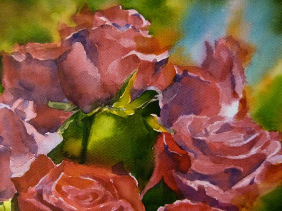 Red roses#2
