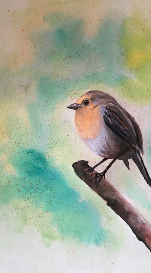 Little Robin by Timea  Valsami