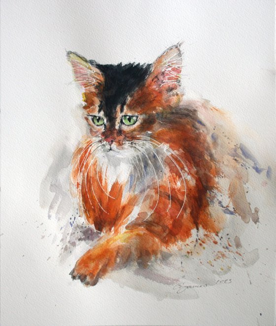 Cat II, 11x13" / FROM THE ANIMAL PORTRAITS SERIES / ORIGINAL PAINTING