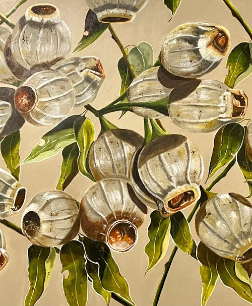 Gum Nut Symphony - Framed by Wendy Peters