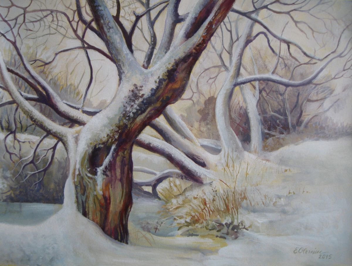 Winter by Elena Oleniuc