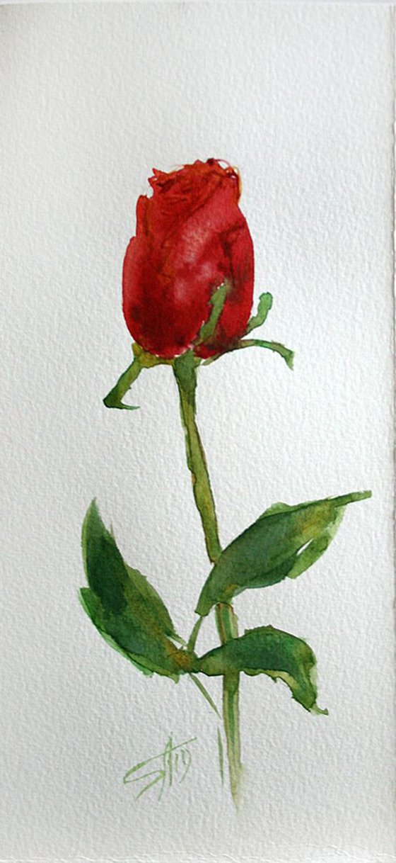 Rose 05  / Original Painting / emotion in the portrait of a flower / color harmony of watercolor / a gift for you