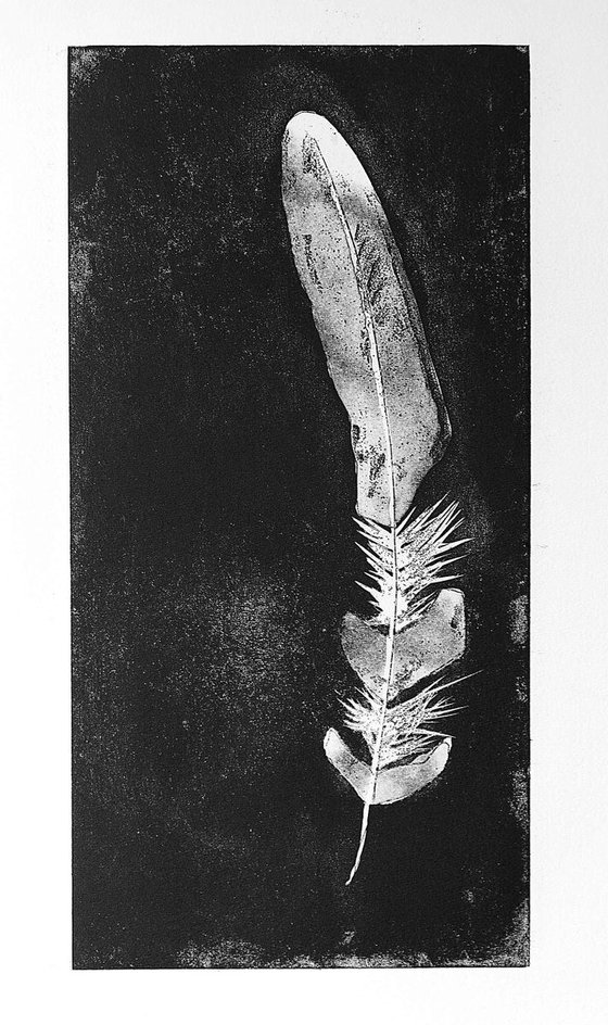 FEATHER large original hand printed etching