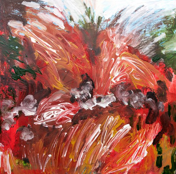 Red Sphagnum Spring